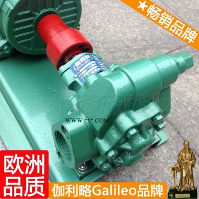 外潤滑齒輪泵 電動(dòng)齒輪油泵 活塞式輸油泵 吳