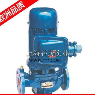 電動機油泵 電動機油泵12v YG32-100(I)型   美觀