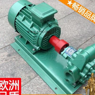 高壓油泵實驗臺 齒輪式機油泵 cb25齒輪泵 物美