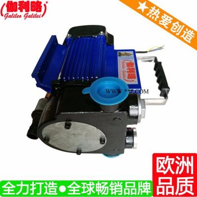 直流電機油泵 柴油加油泵 直流電動抽油泵 星拾