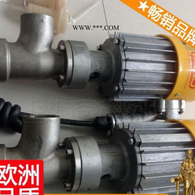 抽油泵設備 abs電動油泵 電動抽機油泵 名牌新