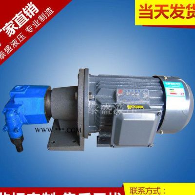 齒輪油泵廠家生產BB-B40JZ擺線油泵電機組電動液壓泵 內軸電機油泵裝