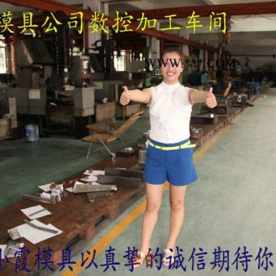 塑料模具 日本模具廠 比亞迪e6車長鈴皮卡車保險杠主機廠模具 汽車儀表臺主機廠模具 汽車主機廠模具 汽車保險杠主機廠模具