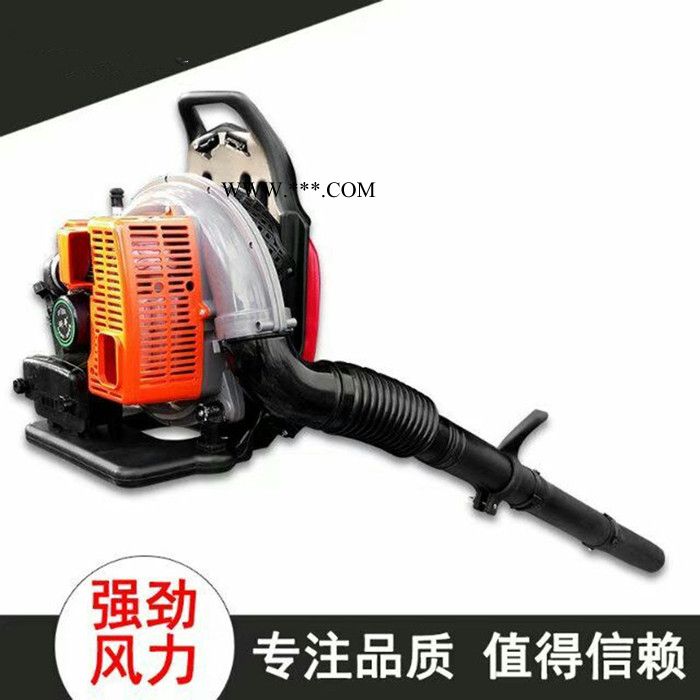 背負(fù)式汽油吹風(fēng)機(jī)多用途吹塵鼓風(fēng)機(jī) 吹雪機(jī)價(jià)格