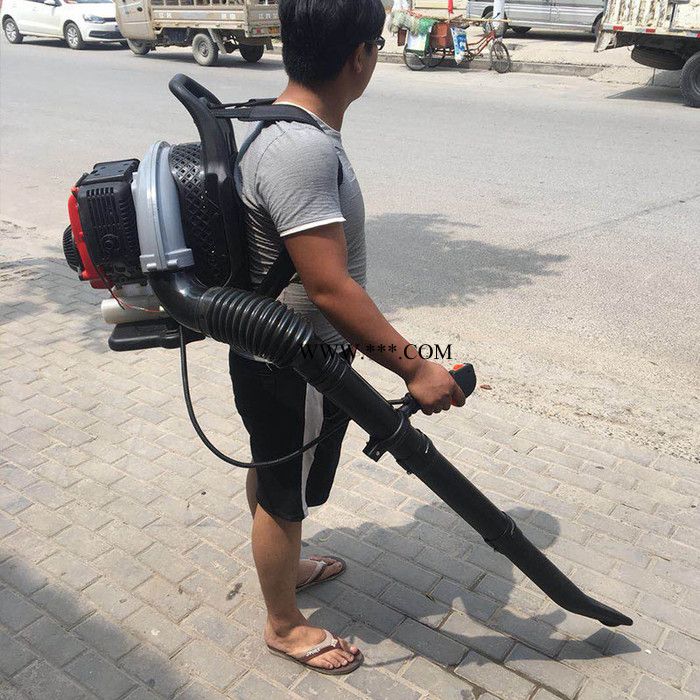 背負式汽油吹風機  中旺大功率背負式汽油吹風機 工程鼓風機吹風機