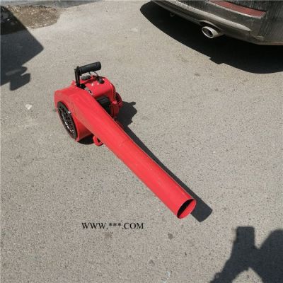 手提式大功率鼓吹風機 內燃除塵鼓風機 吹雪機