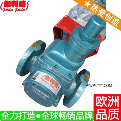 80syhcb-60圓弧齒輪油泵 園弧齒輪油泵 齒輪油泵yhcb 晉