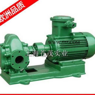 工業(yè)齒輪油泵 鍋爐齒輪油泵 KCB300 物美