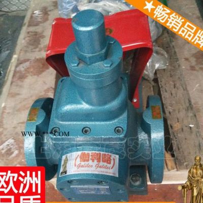 60yhcb-30b圓弧齒輪油泵 圓弧齒輪油泵 yhcb齒輪