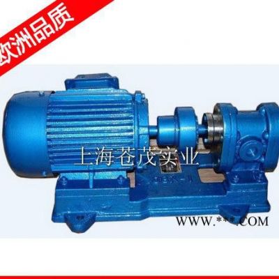 機床齒輪油泵 機械齒輪泵 2CY-38/2.8-2不銹鋼 輕便