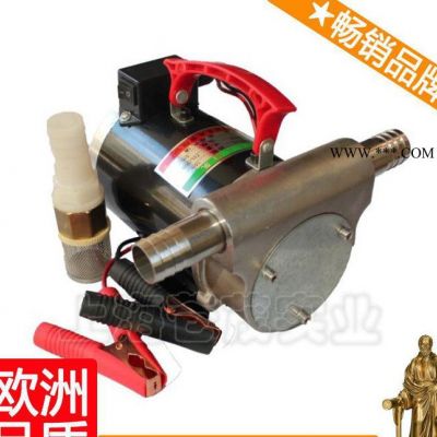 微型直流抽油泵 電子柴油泵 直流齒輪油泵 DYB漢