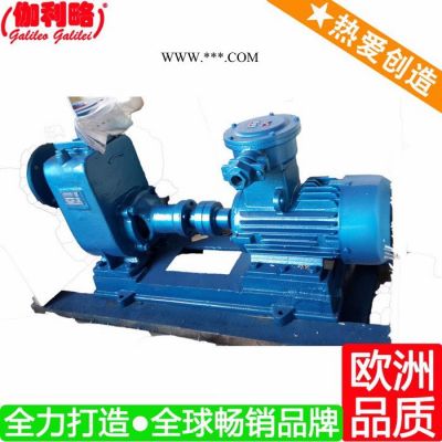 上海直銷自吸加油泵 cyz自吸式離心油泵 自吸齒輪油泵 星柒