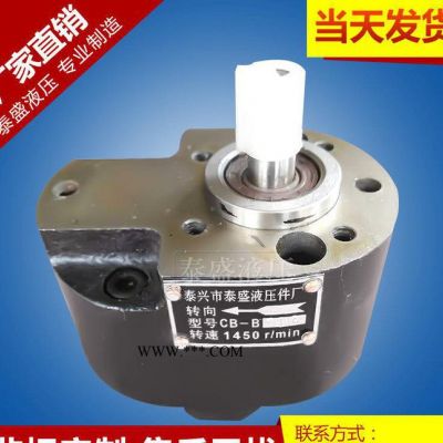 **CB-B10F齒輪泵 齒輪油泵 TH系齒輪泵 BM10系