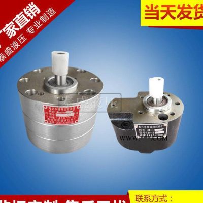 齒輪油泵廠家 ** CB-BNS16不銹鋼耐酸堿泵齒輪油泵潤滑泵 不銹鋼齒