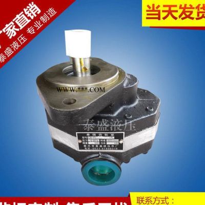 直銷CB-FA10單級(jí)高壓齒輪油泵 CB-FC10單級(jí)高壓齒