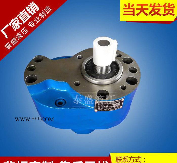 CB-B100齒輪泵 B100TH系齒輪油泵 BM100系耐