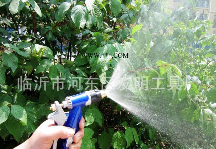 簡裝版高壓洗車水槍套裝 合金洗車水槍洗車器PVC管H052