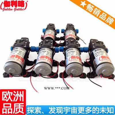 洗車水槍泵 微型水泵5v 反清洗泵 吳
