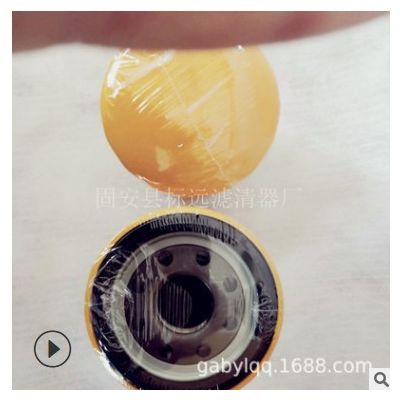 供應(yīng)替代JCB581-18096杰西博系列濾芯兩頭忙