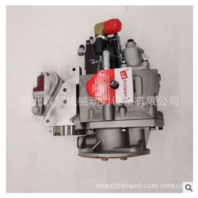 適用于重慶康明斯PT油泵NTA855-C360高壓油泵K19燃油泵 /3021961