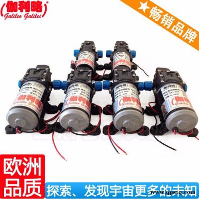 高壓水流洗車泵 隔膜泵60w 清洗汽油泵 漢