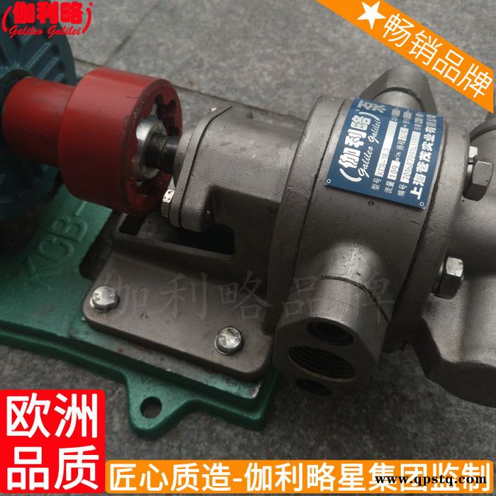 汽油cbdt-f416-alp齒輪汽輪機啟動汽車輸油泵高壓